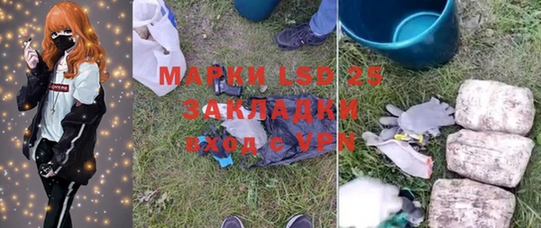 прущие грибы Балахна