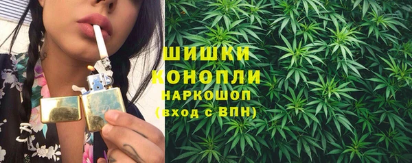 прущие грибы Балахна