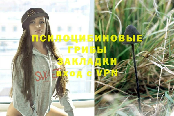 прущие грибы Балахна
