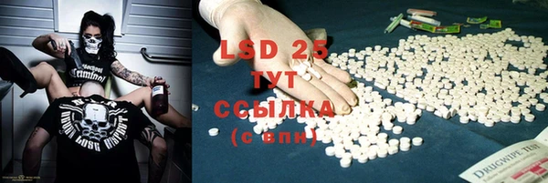 прущие грибы Балахна
