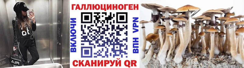 сайты даркнета формула  Белогорск  Галлюциногенные грибы Psilocybe 