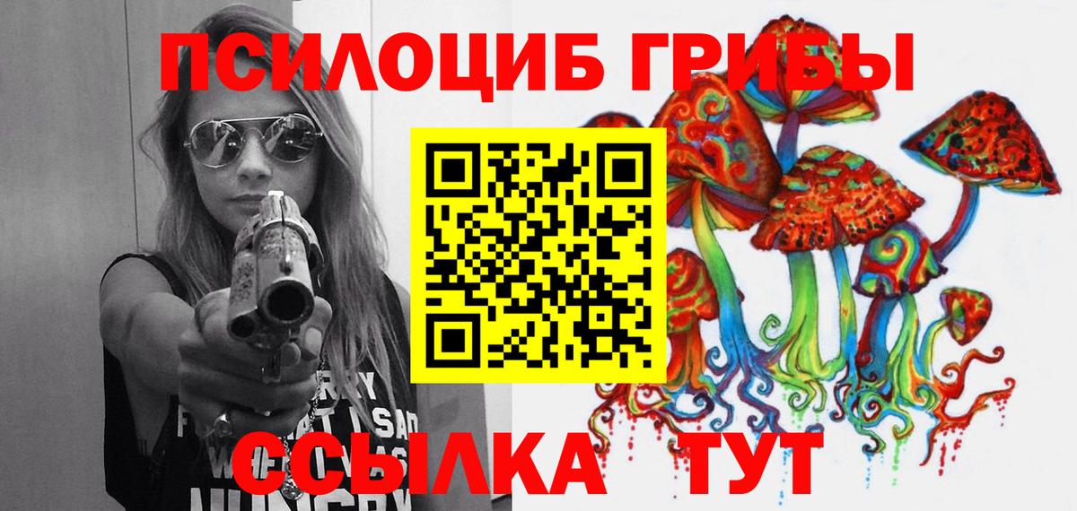 Белогорск  Галлюциногенные грибы Cubensis  Вход с VPN 