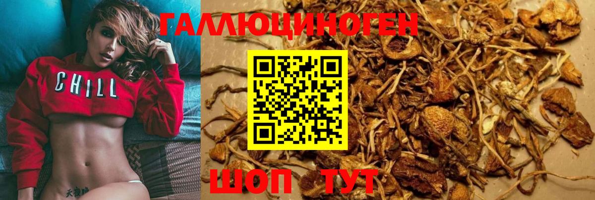 Псилоцибиновые грибы мухоморы Белогорск